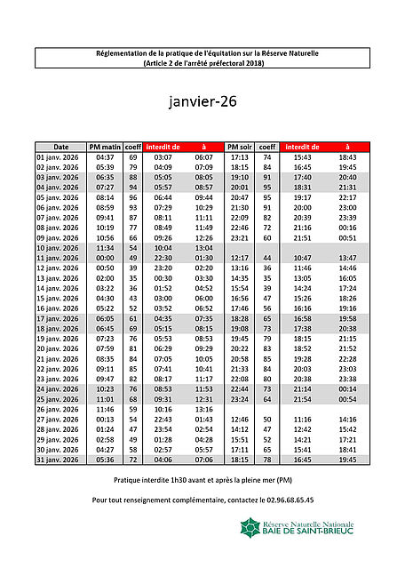 Agrandir l'image (fenêtre modale)