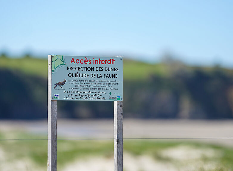 Agrandir l'image (fenêtre modale)