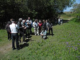 Agrandir l'image (fenêtre modale)