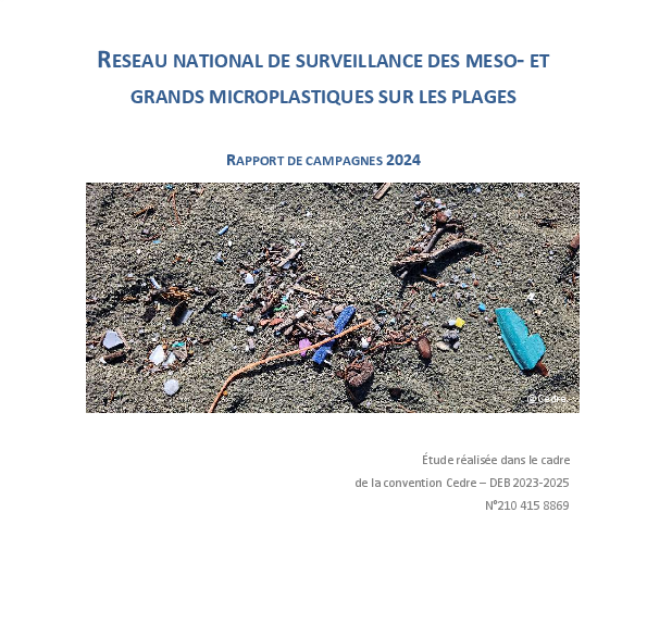 Agrandir l'image (fenêtre modale)