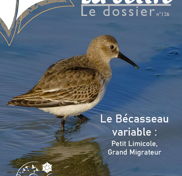 Agrandir l'image (fenêtre modale)