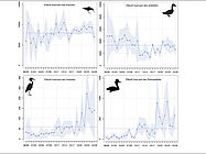 Agrandir l'image (fenêtre modale)