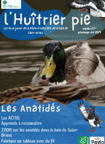 Agrandir l'image (fenêtre modale)