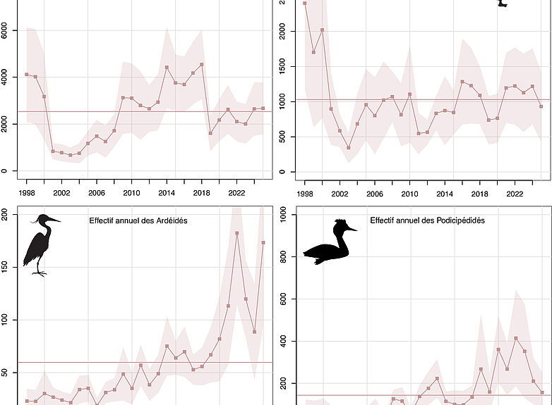 Agrandir l'image (fenêtre modale)