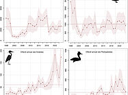 Agrandir l'image (fenêtre modale)